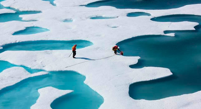 Científicos alertan sobre la «rápida» acidificación del océano Ártico