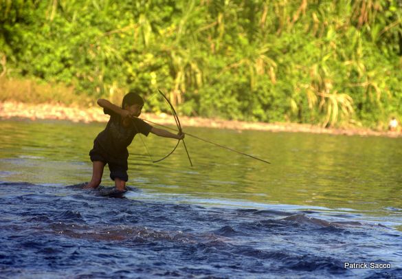 Sábalo, amenazado por la contaminación