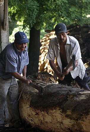 Provincia Velasco se beneficia con Planes de Manejo Forestal