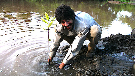 De profesión, restaurador ecológico