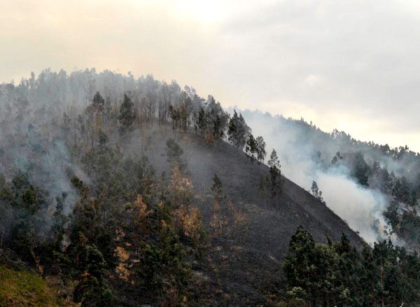 Incendios en el Parque Nacional Tunari arrasaron con 100 hectáreas de pajonales y bosque.