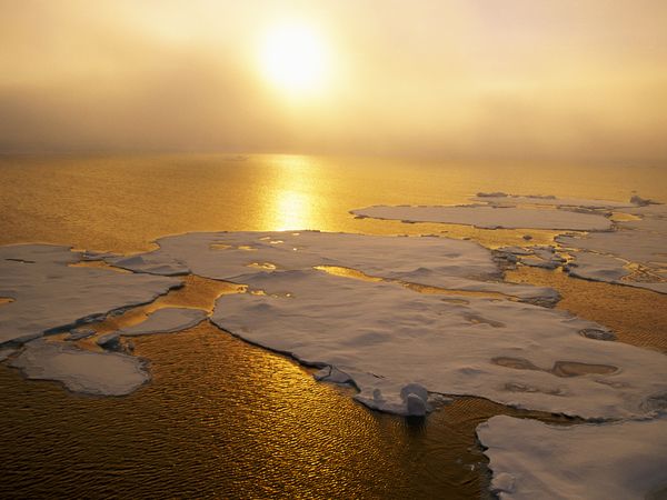 Expertos en cambio climático lanzan nuevo informe alarmante