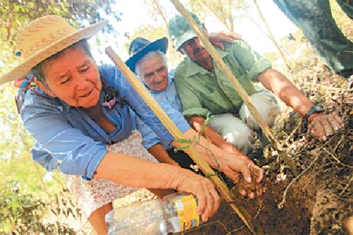 El Torno y la ABT reforestan el Piraí