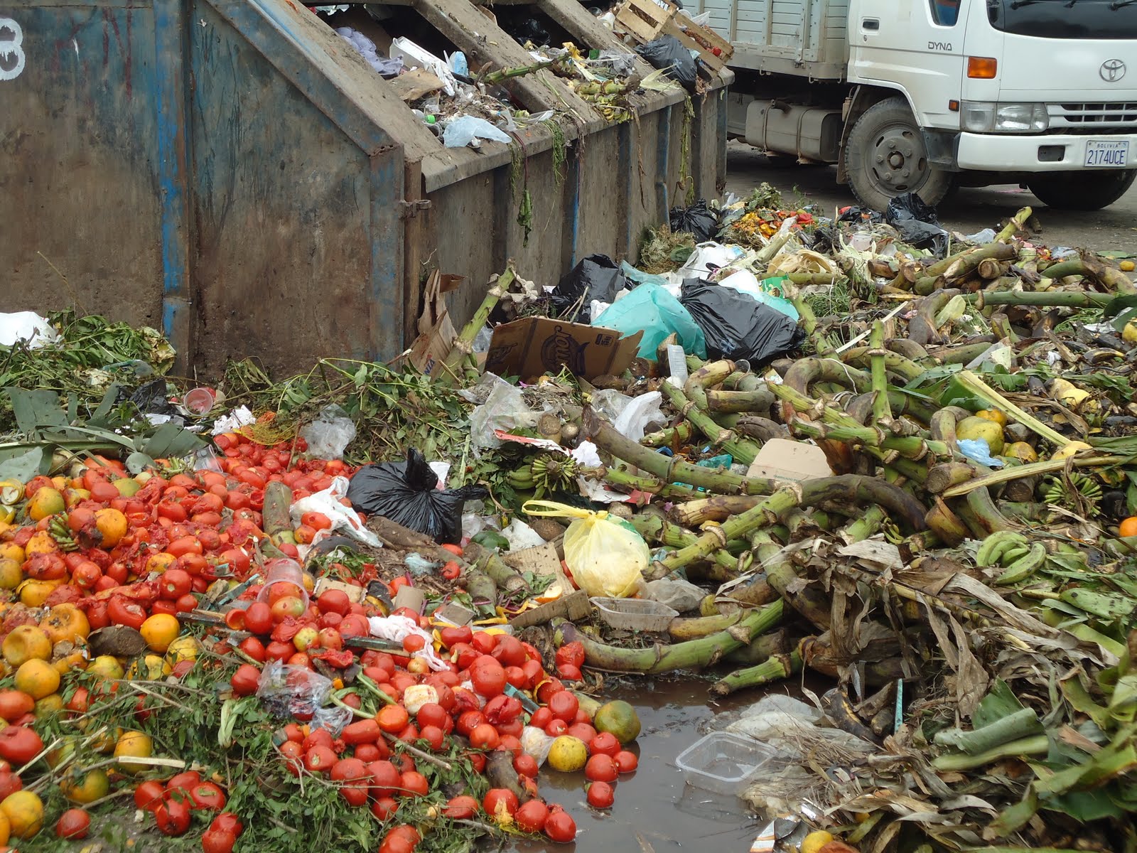 Municipio cruceño demanda a 40 vecinos por delitos ambientales