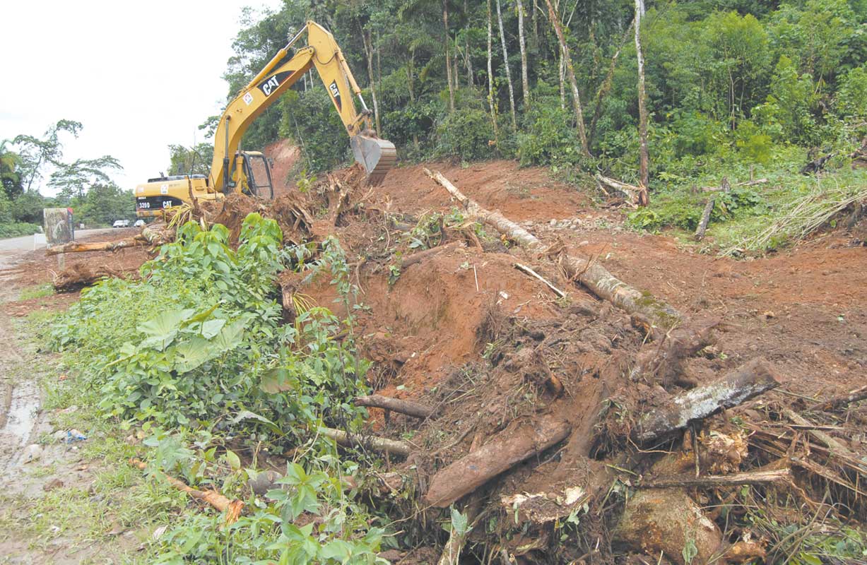 El programa de gobierno del MAS plantea la construcción de la carretera del TIPNIS hasta 2020