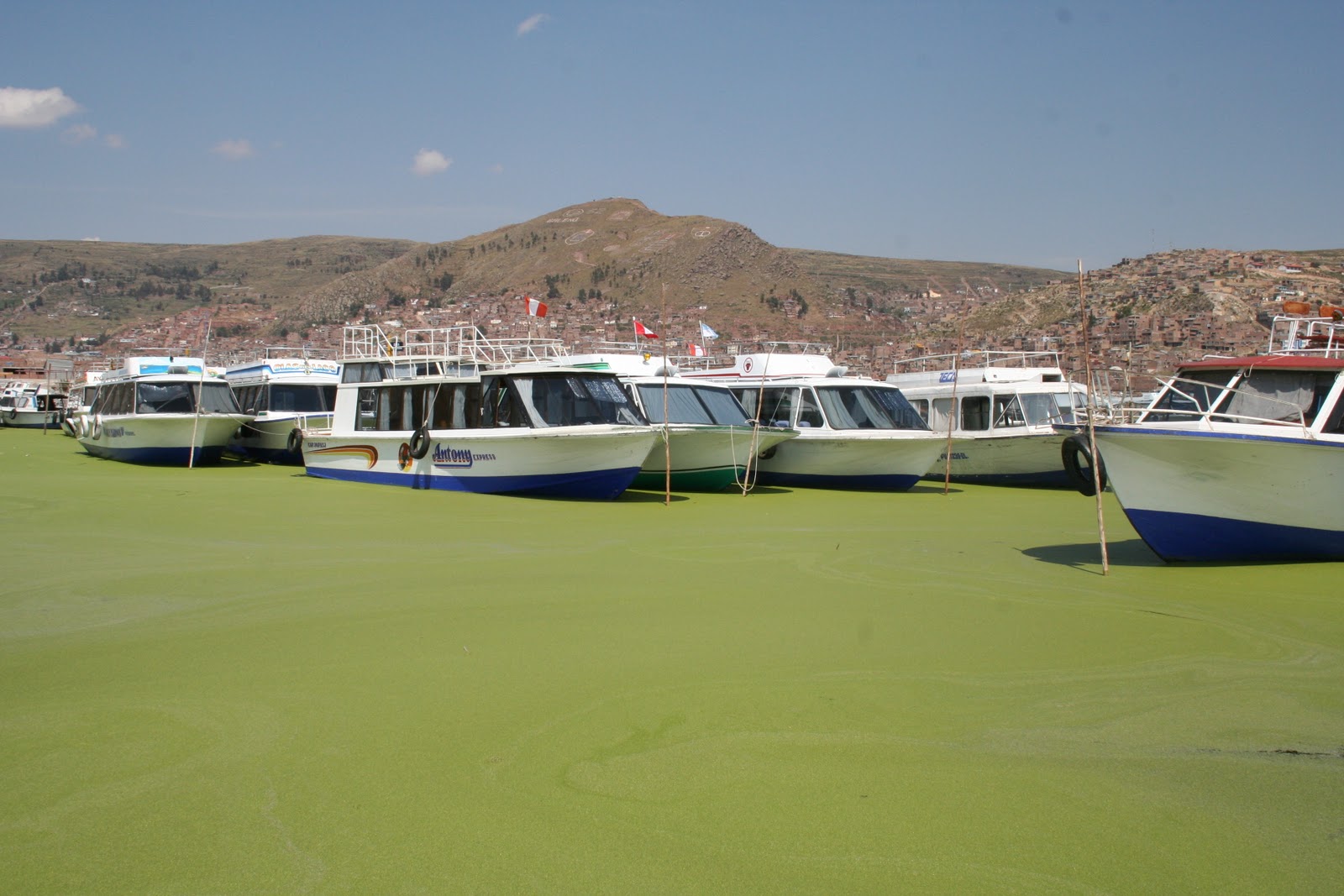 Contaminación se extiende a más sectores del Titicaca