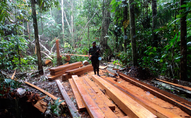 Verifican deforestación indiscriminada en Amboró