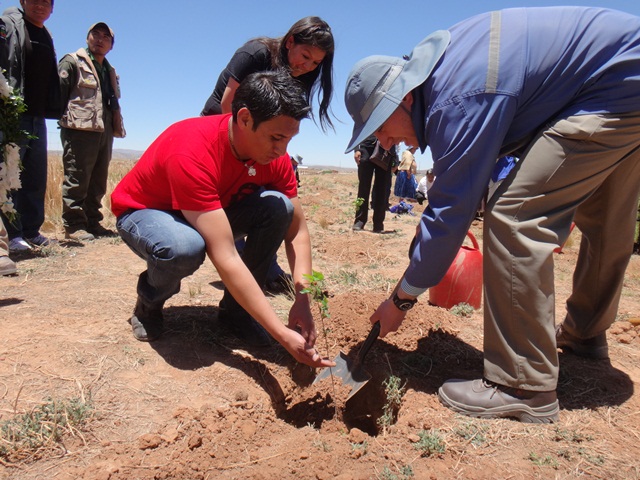 40.000 nuevos árboles para Caracollo, Bolivia