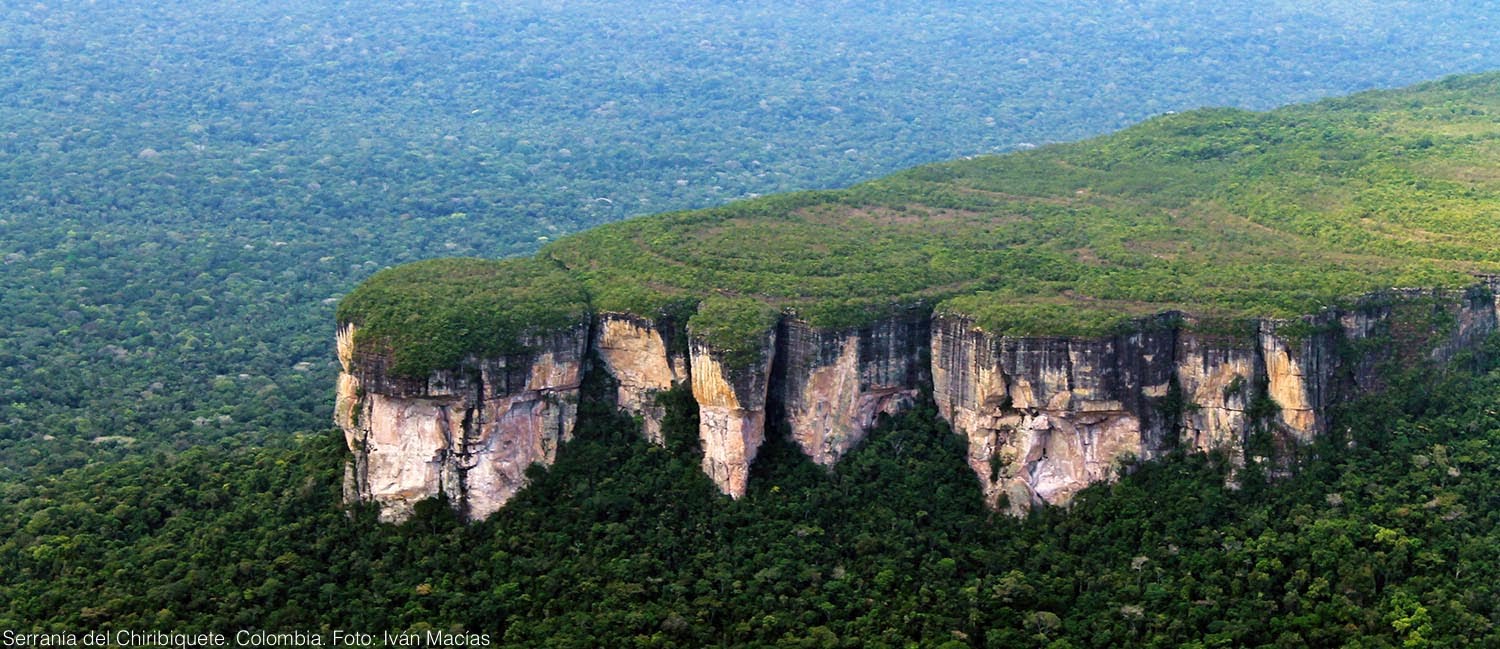 Colombia propondrá a Venezuela y Brasil crear ‘ambicioso’ corredor ecológico