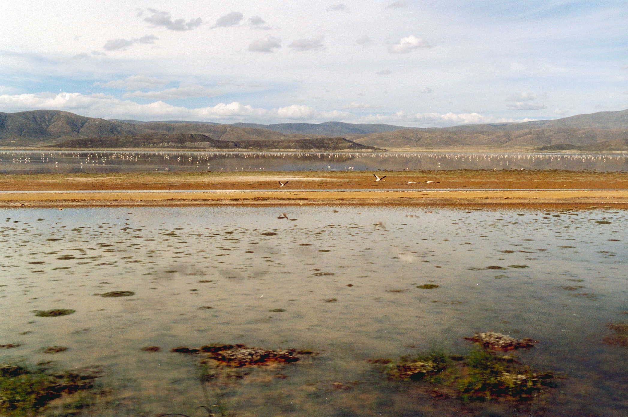 Limpieza del lago Poopó se realizará en el plazo de 5 años