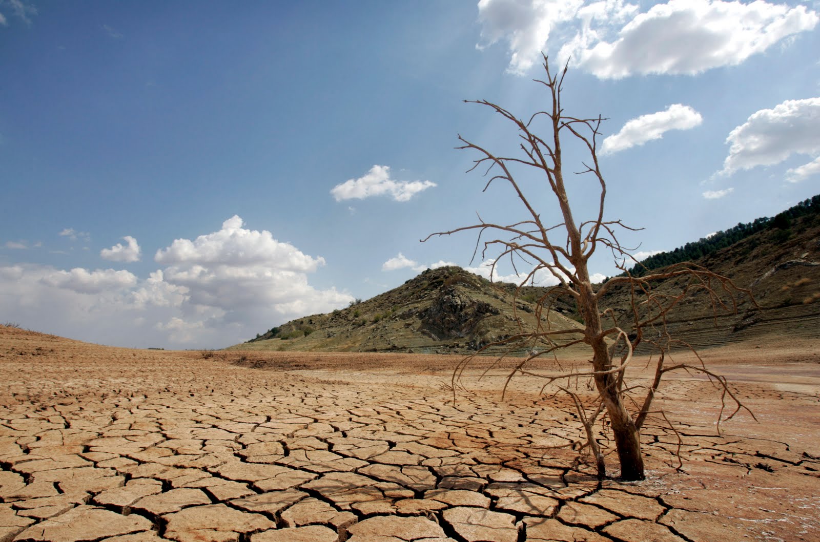 Aplican plan de adaptación al cambio climático en Tarija